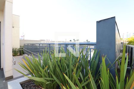 Apartamento para alugar com 61m², 1 quarto e 1 vagaÁrea comum - Piscina