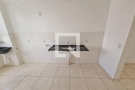 Cozinha - Lavanderia de apartamento para alugar com 2 quartos, 50m² em Valentina Figueiredo, Ribeirão Preto