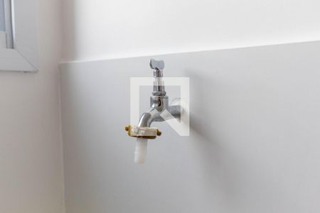 Lavanderia (Torneira) de apartamento para alugar com 1 quarto, 30m² em Vila Guilhermina, São Paulo