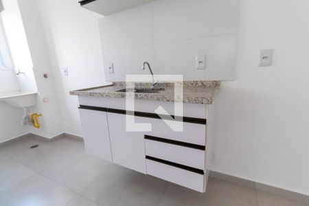 Cozinha de apartamento para alugar com 1 quarto, 30m² em Vila Guilhermina, São Paulo