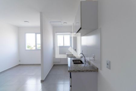 Cozinha de apartamento para alugar com 1 quarto, 30m² em Vila Guilhermina, São Paulo