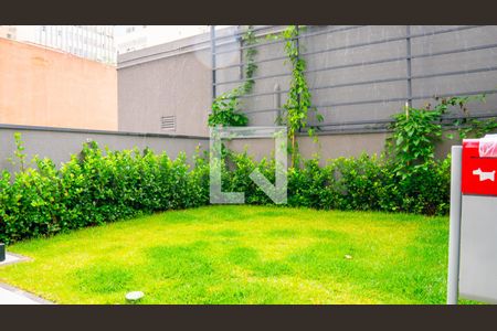 Studio para alugar com 30m², 1 quarto e sem vagaPetplace