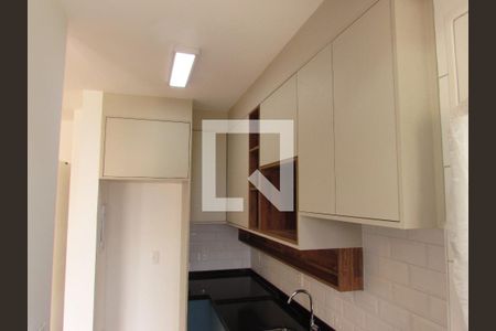 Apartamento para alugar com 45m², 2 quartos e 1 vagaCozinha - Armários