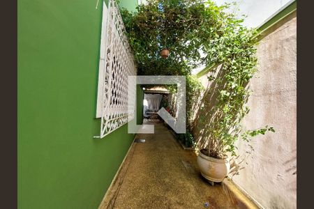 Casa à venda com 190m², 3 quartos e 2 vagasQuintal 