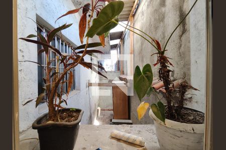 Casa para alugar com 130m², 3 quartos e 2 vagasVista do Quarto 2