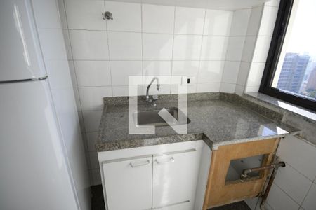 Apartamento à venda com 540m², 5 quartos e 5 vagasCozinha
