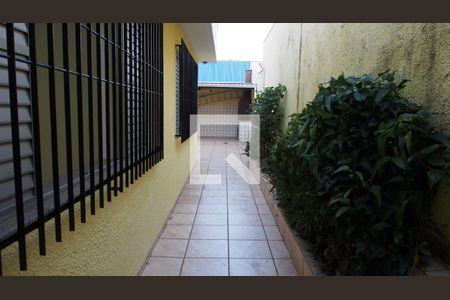 Casa para alugar com 296m², 3 quartos e 2 vagasQuintal