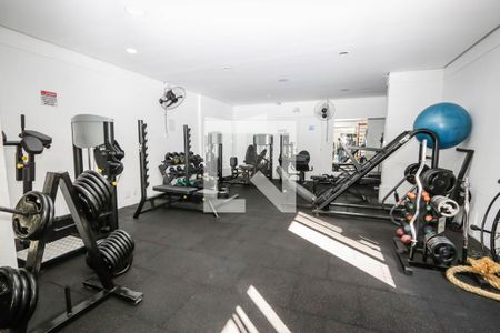 Apartamento para alugar com 63m², 3 quartos e 2 vagas Apartamento para alugar com 63m², 3 quartos e 2 vagasÁrea comum - Academia
