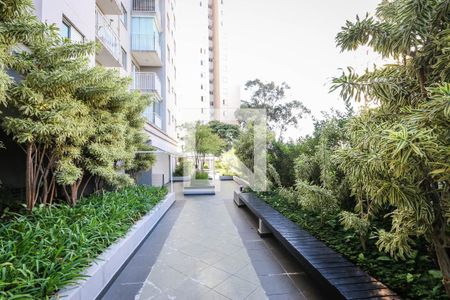 Apartamento para alugar com 63m², 3 quartos e 2 vagas Apartamento para alugar com 63m², 3 quartos e 2 vagasArea Comum