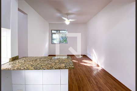 Sala/Cozinha de apartamento para alugar com 2 quartos, 49m² em Jardim Adhemar de Barros, São Paulo