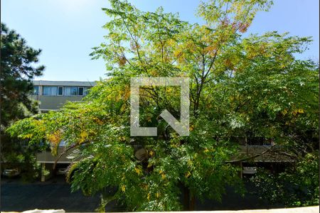 Apartamento para alugar com 62m², 2 quartos e 1 vagaQuarto 1 - Vista 