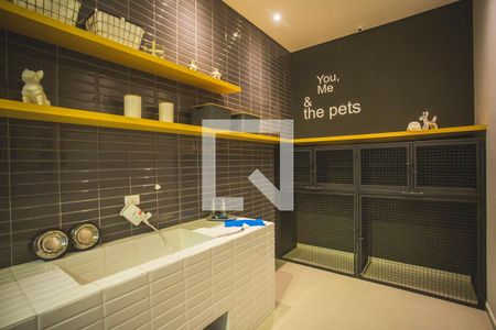 Apartamento para alugar com 34m², 1 quarto e sem vaga Apartamento para alugar com 34m², 1 quarto e sem vagaÁrea comum - Pet Care