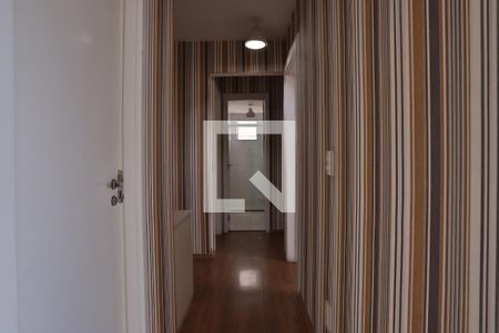 Corredor de apartamento para alugar com 3 quartos, 95m² em Catumbi, São Paulo