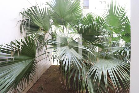 Apartamento à venda com 92m², 3 quartos e 2 vagasÁrea comum