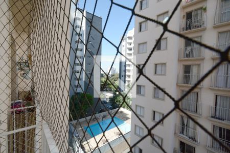 Vista da Sacada de apartamento para alugar com 2 quartos, 57m² em Vila Sofia, São Paulo