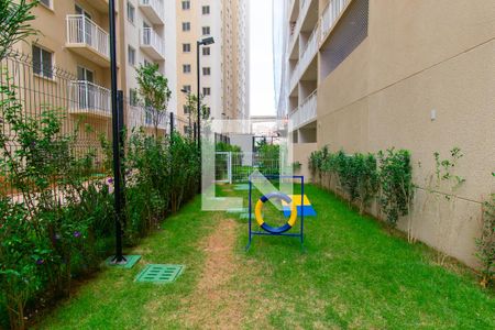 Apartamento para alugar com 37m², 1 quarto e sem vaga Apartamento para alugar com 37m², 1 quarto e sem vagaÁrea comum - Espaço Pet