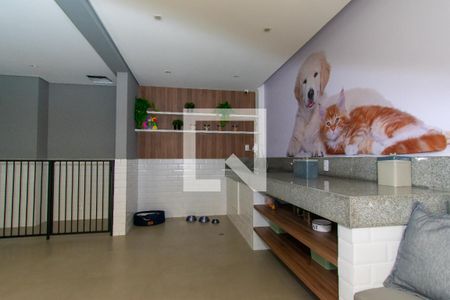 Apartamento para alugar com 37m², 1 quarto e sem vaga Apartamento para alugar com 37m², 1 quarto e sem vagaÁrea comum - Pet Care