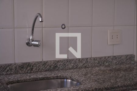 Apartamento para alugar com 47m², 2 quartos e 1 vagaCozinha - Torneira
