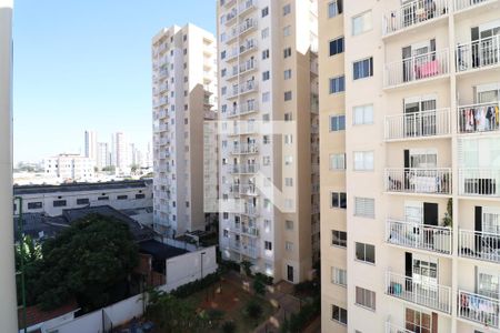 Vista da Varanda de apartamento para alugar com 2 quartos, 44m² em Barra Funda, São Paulo