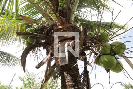 Apartamento para alugar com 45m², 2 quartos e 1 vagaÁrea comum