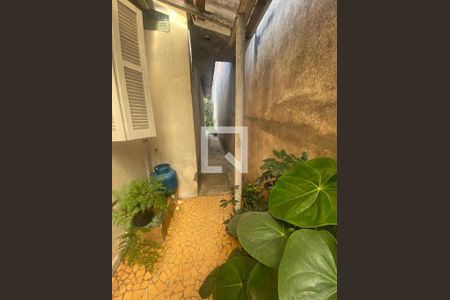 Casa à venda com 300m², 3 quartos e 2 vagasFoto 37