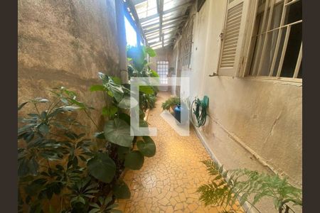 Casa à venda com 300m², 3 quartos e 2 vagasFoto 25