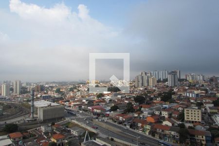 Sala - vista da sacada de apartamento para alugar com 1 quarto, 31m² em Vila Sonia, São Paulo
