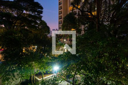 Vista da Sacada de apartamento para alugar com 2 quartos, 113m² em Vila Santa Catarina, São Paulo