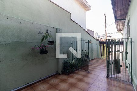 Casa para alugar com 140m², 3 quartos e 3 vagasQuintal