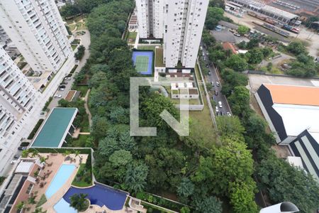 Vista da Varanda de apartamento para alugar com 2 quartos, 62m² em Vila Anastácio, São Paulo