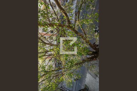 Apartamento para alugar com 70m², 2 quartos e sem vaga Apartamento para alugar com 70m², 2 quartos e sem vagaVista