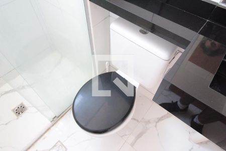 Banheiro Social de apartamento para alugar com 2 quartos, 52m² em Castelo, Belo Horizonte