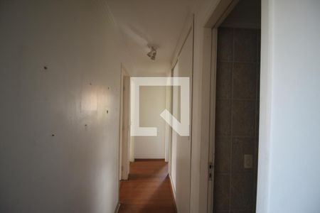 Corredor  de apartamento para alugar com 3 quartos, 88m² em Campininha, São Paulo