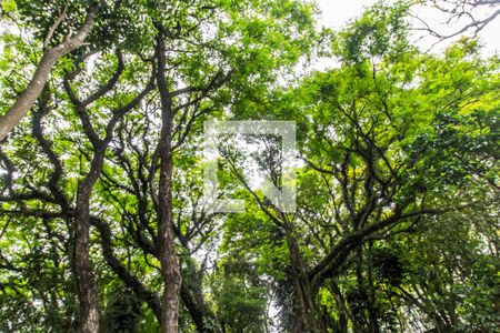 Apartamento à venda com 165m², 3 quartos e 2 vagasPraça