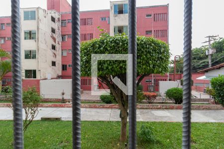 Vista Quarto 1 de apartamento para alugar com 2 quartos, 50m² em Conjunto Habitacional Padre Manoel da Nobrega, São Paulo