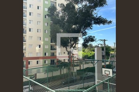 Vista do Quarto 1 de apartamento para alugar com 2 quartos, 37m² em Vila Butantã, São Paulo