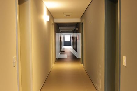 Studio para alugar com 26m², 1 quarto e sem vagaCorredor do Andar