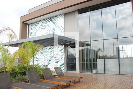 Studio para alugar com 26m², 1 quarto e sem vagaSolarium