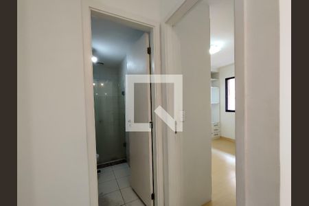 Corredor de apartamento para alugar com 1 quarto, 50m² em São Cristóvão, Rio de Janeiro