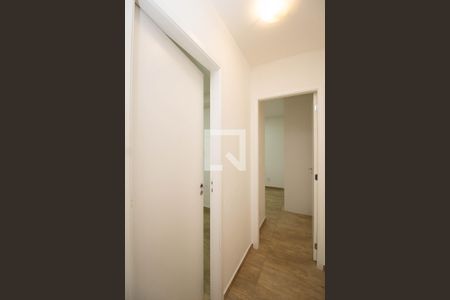 Corredor de apartamento para alugar com 2 quartos, 45m² em Vila Pirituba, São Paulo