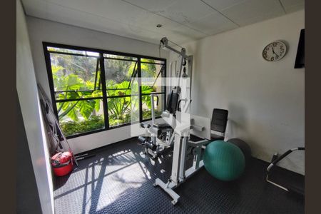 Academia de apartamento para alugar com 3 quartos, 137m² em Santo Amaro, São Paulo