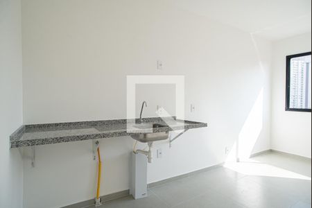 Apartamento para alugar com 25m², 1 quarto e sem vagaCozinha