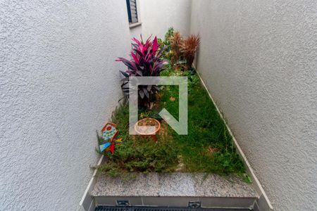 Jardim de Inverno de apartamento para alugar com 2 quartos, 49m² em Parque da Vila Prudente, São Paulo