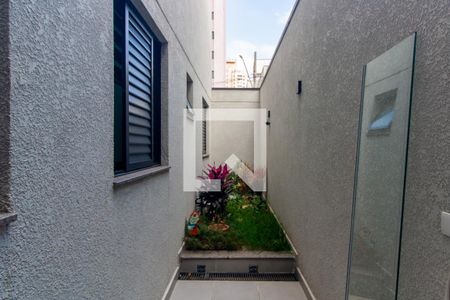 Jardim de Inverno de apartamento para alugar com 2 quartos, 49m² em Parque da Vila Prudente, São Paulo