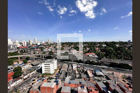 Vista de apartamento para alugar com 2 quartos, 58m² em Vila Congonhas, São Paulo