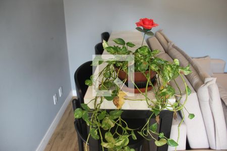 Sala de apartamento para alugar com 2 quartos, 56m² em Vila Santa Clara, Sorocaba