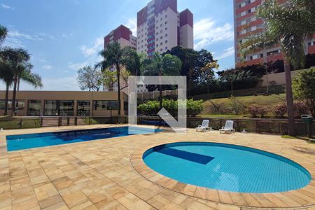 Área comum - Piscina de apartamento para alugar com 3 quartos, 97m² em Parque Prado, Campinas