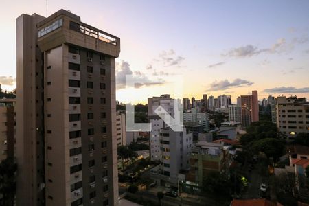 Vista da Sala de apartamento à venda com 2 quartos, 70m² em Santo Antônio, Belo Horizonte
