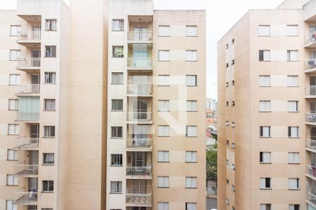 Vista de apartamento para alugar com 2 quartos, 47m² em Santa Maria, Osasco