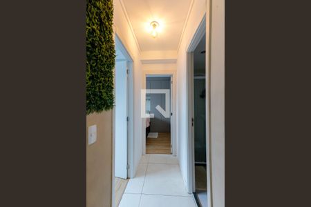 Corredor Quartos de apartamento para alugar com 2 quartos, 39m² em Vila Guilherme, São Paulo